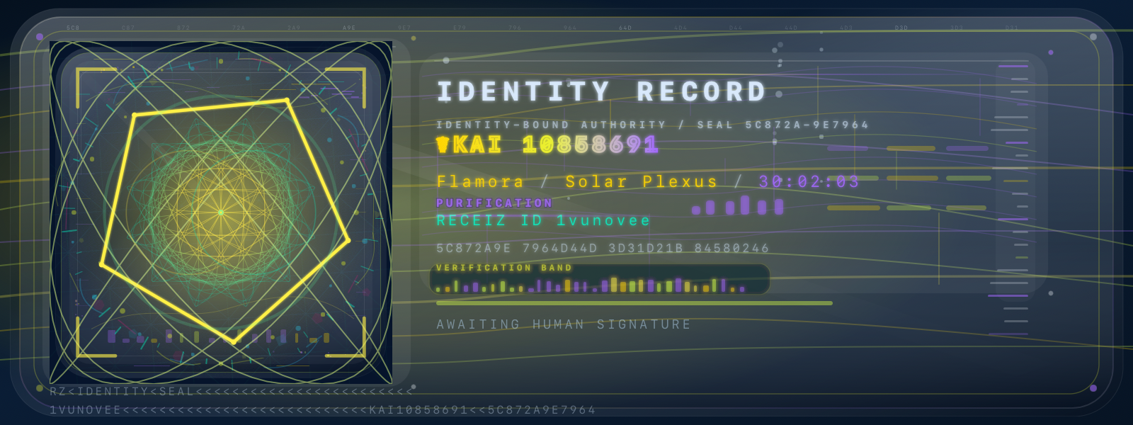 Identity Record 1vunovee artwork