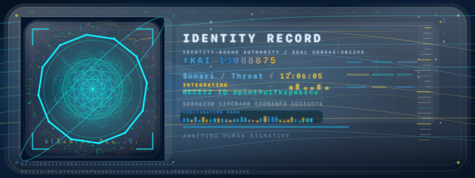 Identity Record rplnt9u1fkspw6sno artwork
